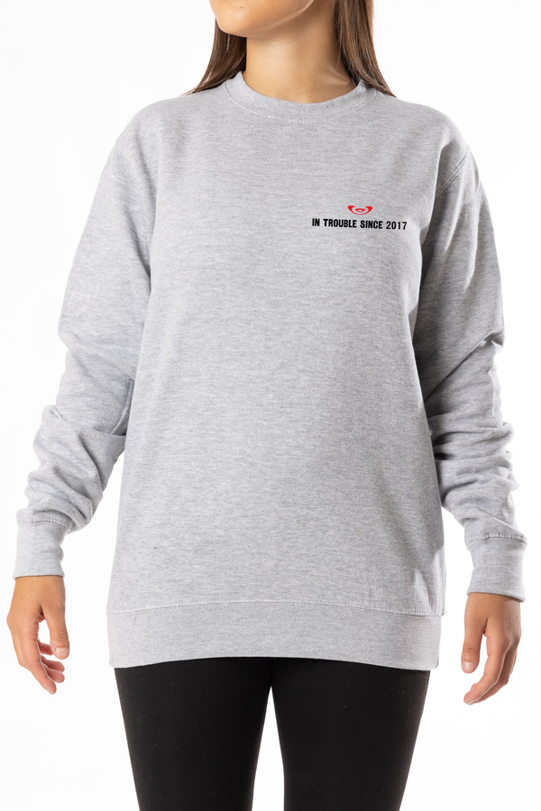 Sweatshirt Manifesto